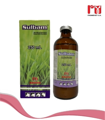 SULBAM